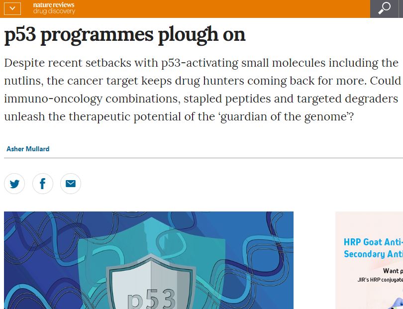 Nature Reviews Drug Discovery (@natrevdrugdisc) on Twitter photo p53 - the guardian of the genome - has long been a compelling but highly challenging anticancer drug target. Find out about the latest progress in the field in this news article by <a href="/AsherMullard/">Asher Mullard</a> published today go.nature.com/2AVyqAq p53 - the guardian of the genome - has long been a compelling but highly challenging anticancer drug target. Find out about the latest progress in the field in this news article by <a href="/AsherMullard/">Asher Mullard</a> published today go.nature.com/2AVyqAq