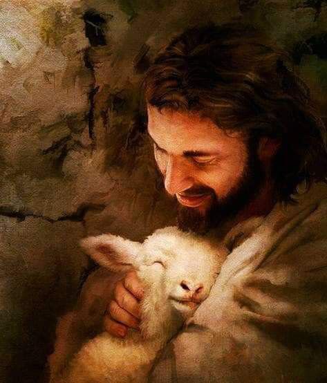 "¿A qué viene ese miedo? ¿Dónde está vuestra fe?" Mc 4, 40