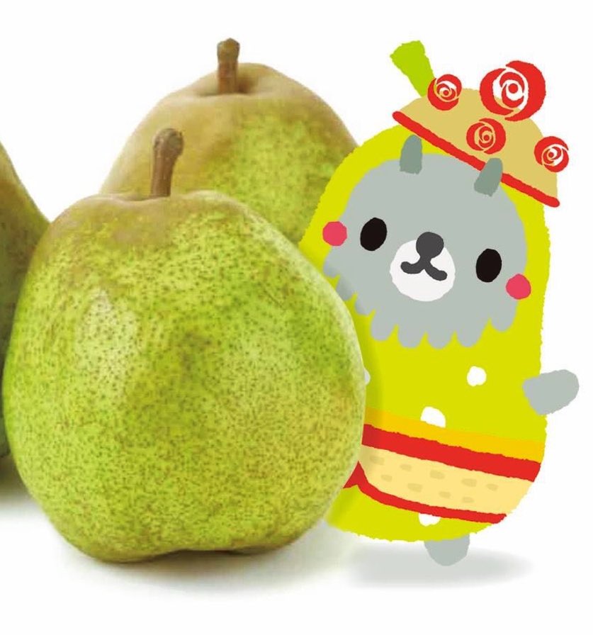Mondo Mascots on X: Parappa the Rapper / X
