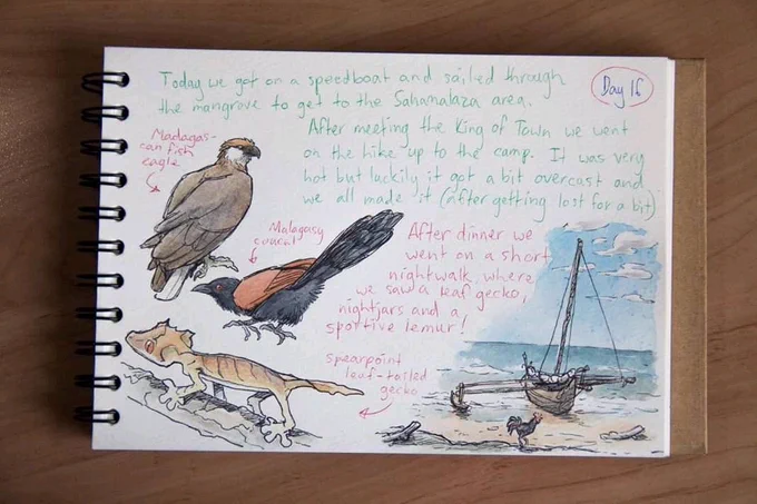@Nambroth Oh I love almost nothing more than to draw birds! But my `birds' are usually more of the `I guess it's a bird because its last name is Duck' variety 