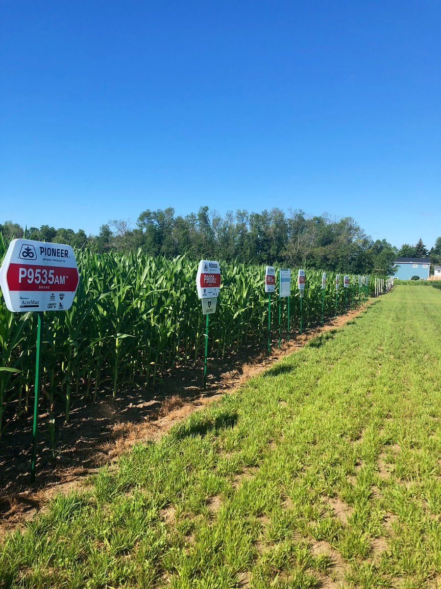 HermansAmanda's tweet photo. Was in the area so popped into the Corteva Agronomy Hub off of Hwy2 (East of Port Hope)! So exciting to see the various new leading genetics all in one place, definitely worth the visit if you’re nearby! @PioneerSeedsCA @corteva https://t.co/jIPDqNDqSX