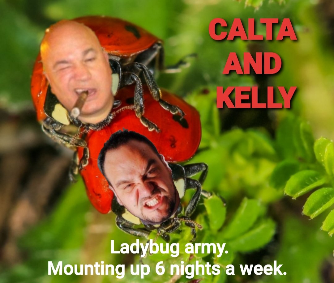pwroflov's tweet photo. Who wore it out better? 
@caltaandkelly @robertkelly @MrMikeCalta 
@MikeVSuarez
#caltaandkelly #ladybugarmy https://t.co/sY8h8qDxWV
