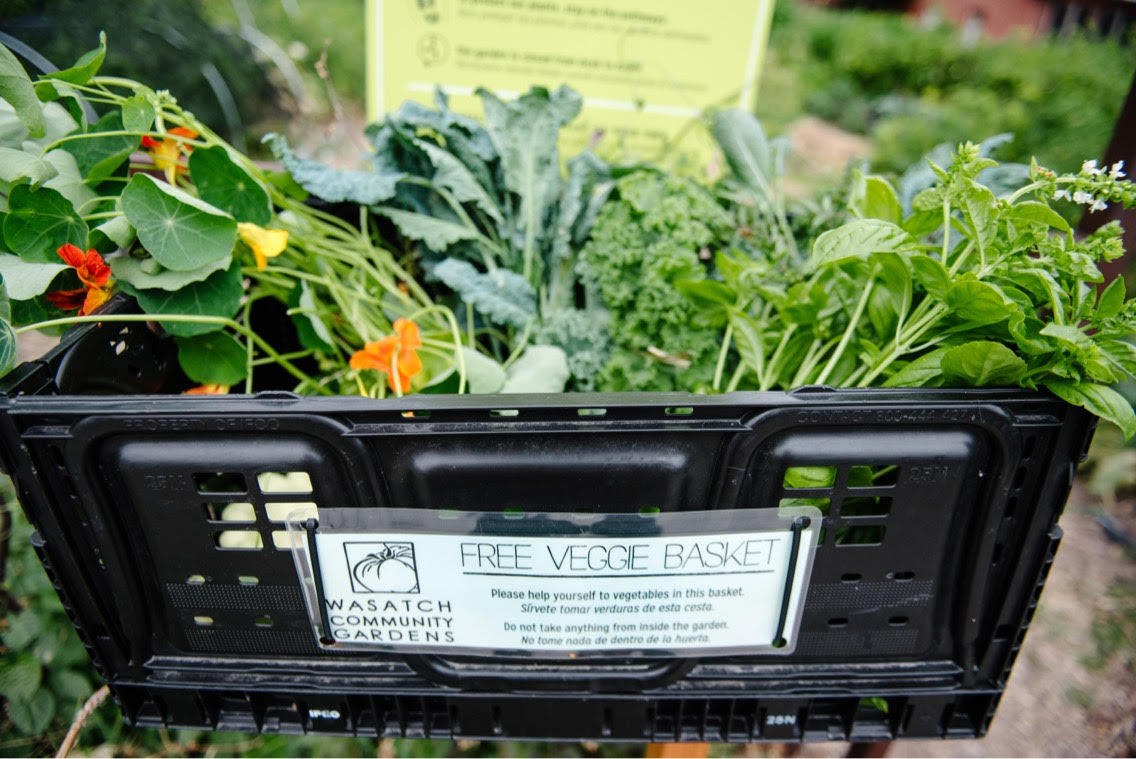 Did you know that our community gardens have "Free Veggie Baskets" near the front gates?  When our community gardeners have excess produce they place it in these baskets for anyone passing by to use!