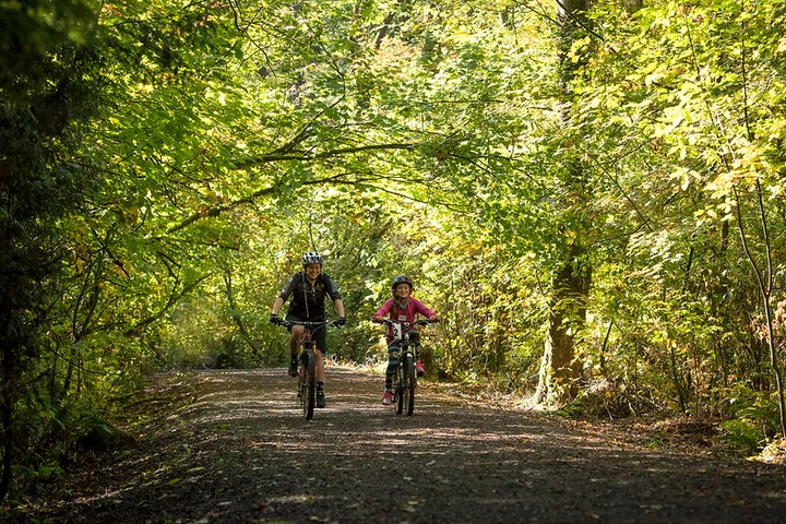 BLambMarketing's tweet photo. Now's the time to explore our local Coquitlam community, be it by foot or wheels. We're lucky to have so many great options right here in our backyards, including the DeBoville Slough—which happens to be one of @VisitCoquitlam's favourite spots! #explorecoquitlam #brianlamb https://t.co/ZvU4OK5WGf