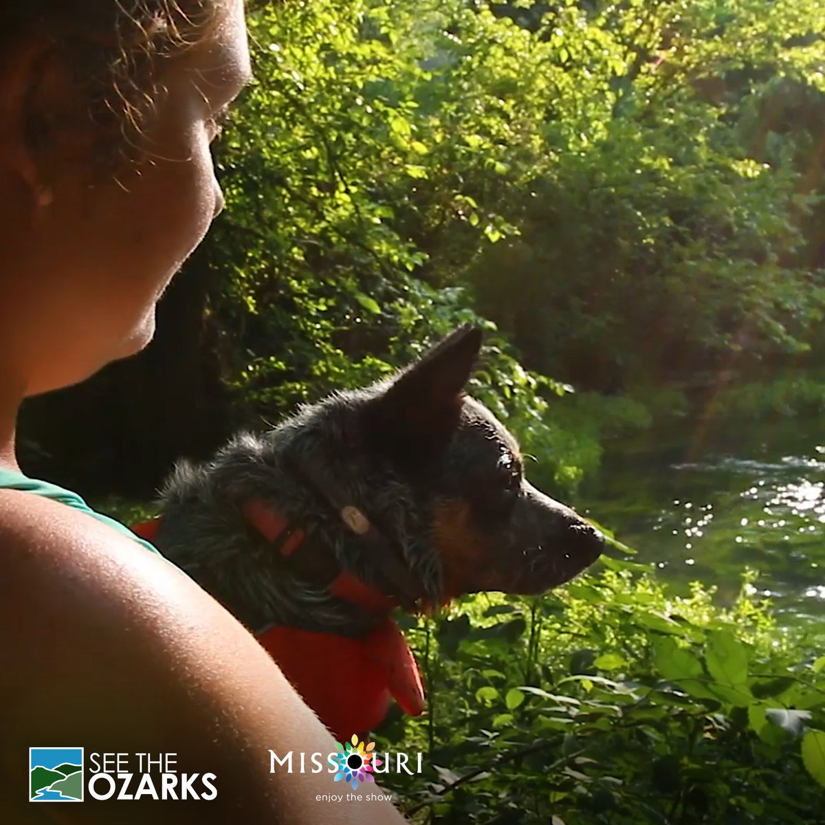 See The Ozarks tweet media