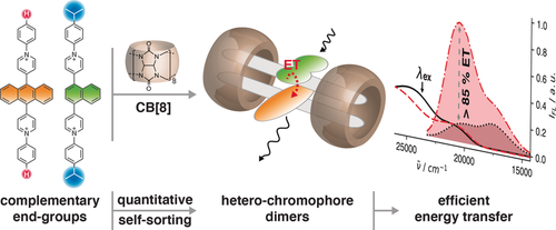 angew_chem's tweet photo. Quantitative Supramolecular Heterodimerization for Efficient Energy Transfer (Scherman) https://t.co/HA0JAyT2Oq https://t.co/MvEorWcQx3