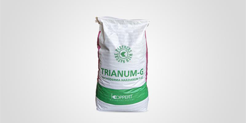 KoppertRUS's tweet photo. TRIANUM (Trihoderma harzianum T-22) доступен для заказа в виде медленно растворимых гранул  (G) и водорастворимого порошка (P).
#koppert #koppertrus #trianum #копперт #коппертрус #трианум https://t.co/M53Ame6XeY