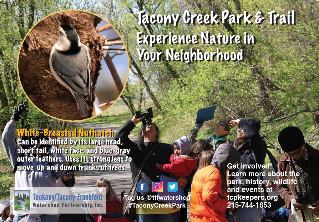 TTFWatershed's tweet photo. You can share your love for #TaconyCreekPark with friends and family who haven't yet visited with these new park postcards! Find us in the park or contact us to get yours: info(at)ttfwaters(dot)org. You can also call the office at 215-744-1853 and leave a message. #discoverTCP https://t.co/olV7Gqmmid