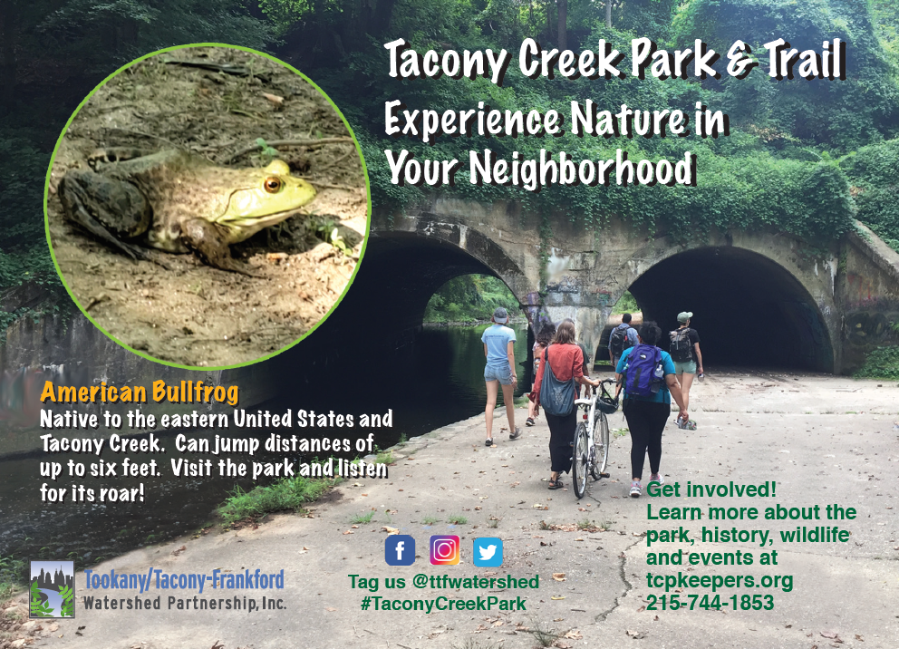 TTFWatershed's tweet photo. You can share your love for #TaconyCreekPark with friends and family who haven't yet visited with these new park postcards! Find us in the park or contact us to get yours: info(at)ttfwaters(dot)org. You can also call the office at 215-744-1853 and leave a message. #discoverTCP https://t.co/olV7Gqmmid