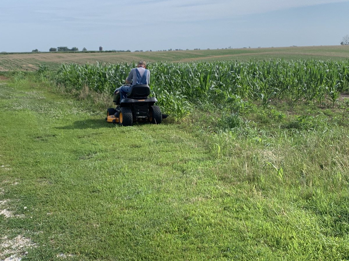 Vittetoe761's tweet photo. Grandpa is getting after it on the #RowMow in the sweet corn patch. https://t.co/T0OcxSfCvf