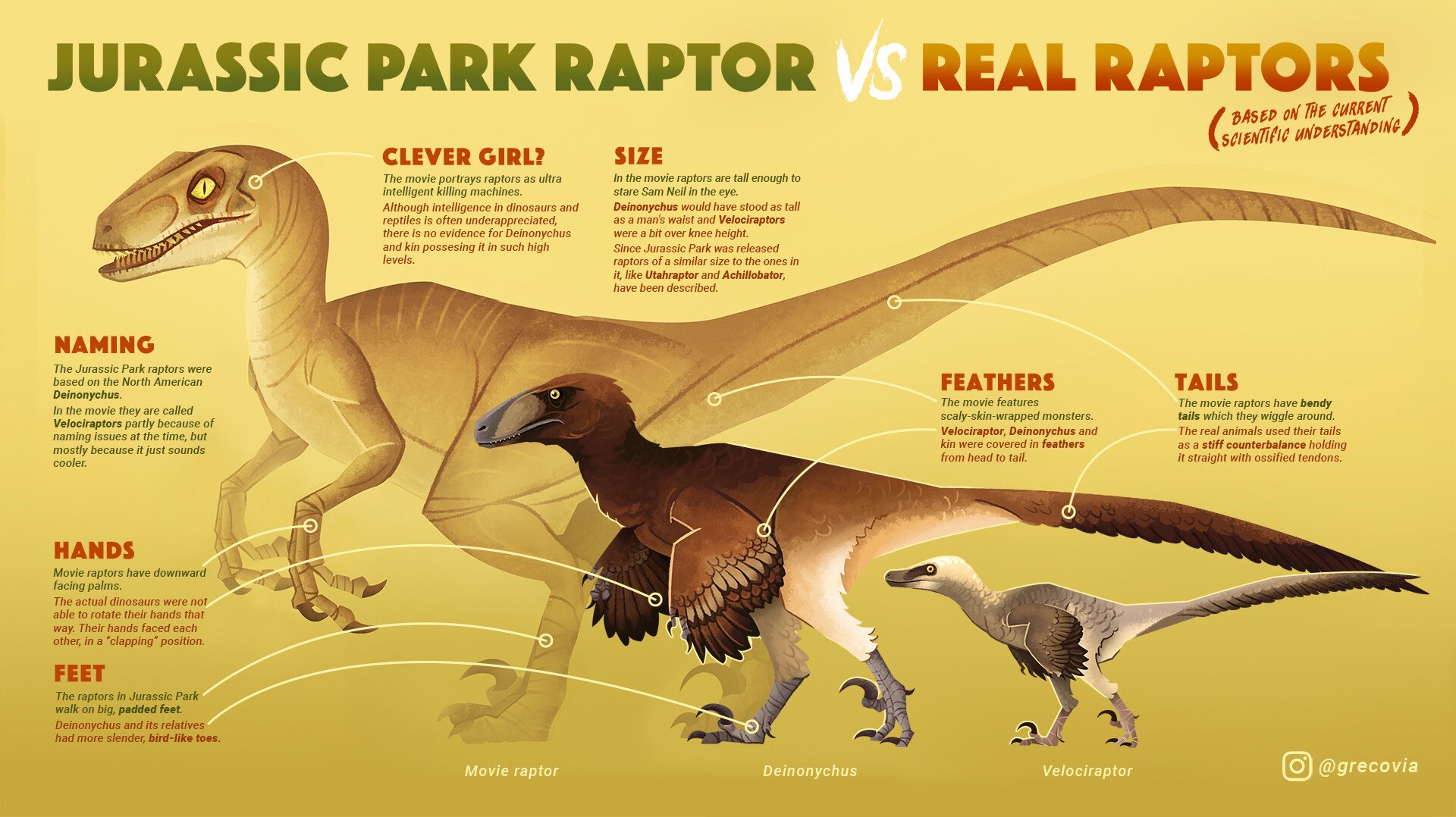 Evan Johnson Ransom Whenever People Hear Velociraptor They Think Of The Ones From The Jurassic Park Franchise However Those Velociraptors Are A Composite Of Numerous Dromeosaurids Today We Will Be Discussing