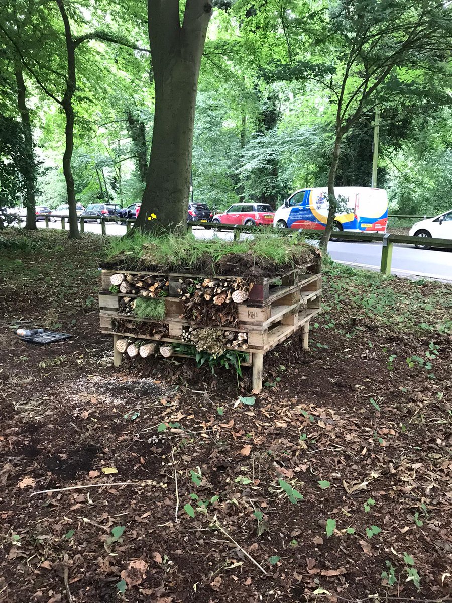 TownRanger's tweet photo. Our new Insect Hotel in Wallwood NEEDS YOU! 
I've filled one side with natural materials for our Mini Beast's stay. 
We need YOUR help to fill it all. 
Great project for young people to spend some time with nature. 
Need,
Pine cones, straw, bamboo canes... be creative! #knutsford https://t.co/3wVBMn0iop