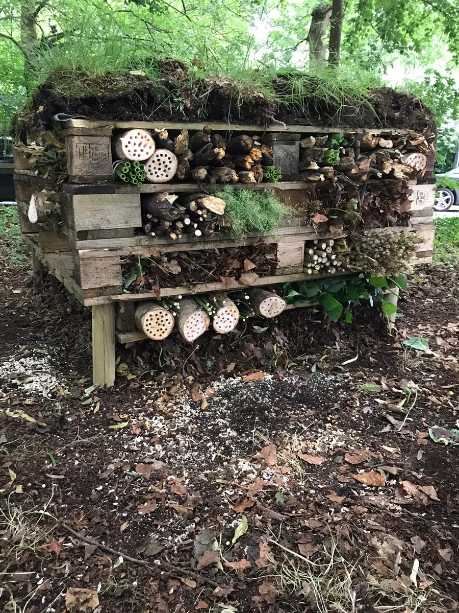 Our new Insect Hotel in Wallwood NEEDS YOU! 
I've filled one side with natural materials for our Mini Beast's stay. 
We need YOUR help to fill it all. 
Great project for young people to spend some time with nature. 
Need,
Pine cones, straw, bamboo canes... be creative! #knutsford