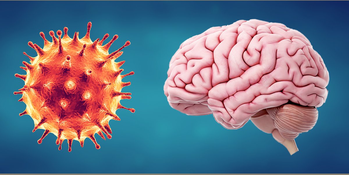 ajitjohnson_n's tweet photo. SARS-CoV2 generally attacks the lungs, but ​Neurologists are also stressing its effects on the brain in a fraction of patients:  They noted an uptick this spring in cases of a potentially fatal condition called acute disseminated encephalomyelitis (ADEM) https://t.co/y7HPq9FfLB https://t.co/g23vYdx70y