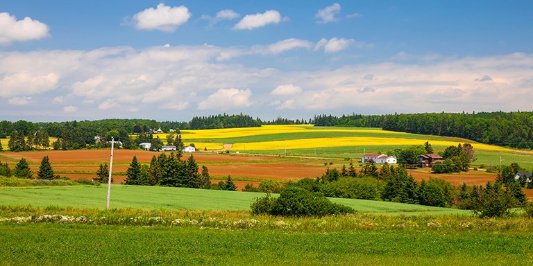 FCM_online's tweet photo. Protecting Canadians is even harder for many rural #cdnmuni—older populations, fewer resources, unreliable Internet. That’s why communities of all sizes need emergency support from other govts: https://t.co/jOOlOAMwzR #cdnpoli #ProtectingServices https://t.co/AZDzNi50BZ