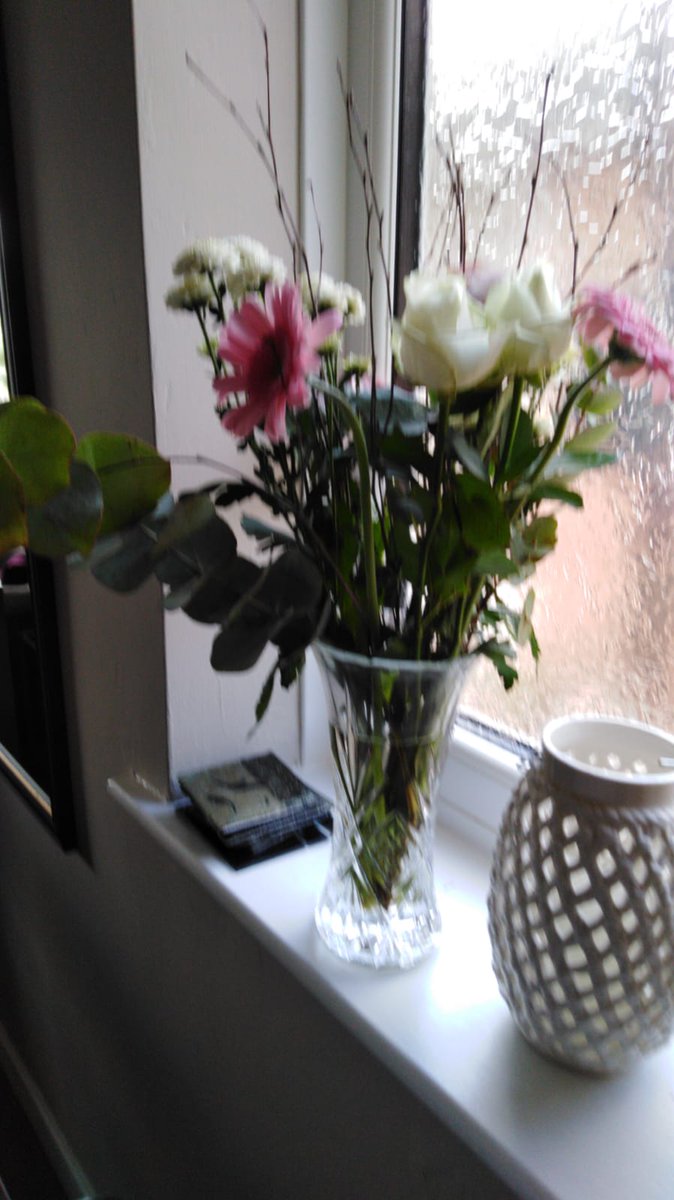 ruthxxxxxxx's tweet photo. #prestigeflowers 
Apparently this is an acceptable comparison and it's not a problem that we didn't get the chocolates that were meant to be with the order. Not worth the money paid.. oh and not worth complaining cos they don't give a shit .happy birthday mum, enjoy the dead 🌹 https://t.co/mmJVgzqZhl