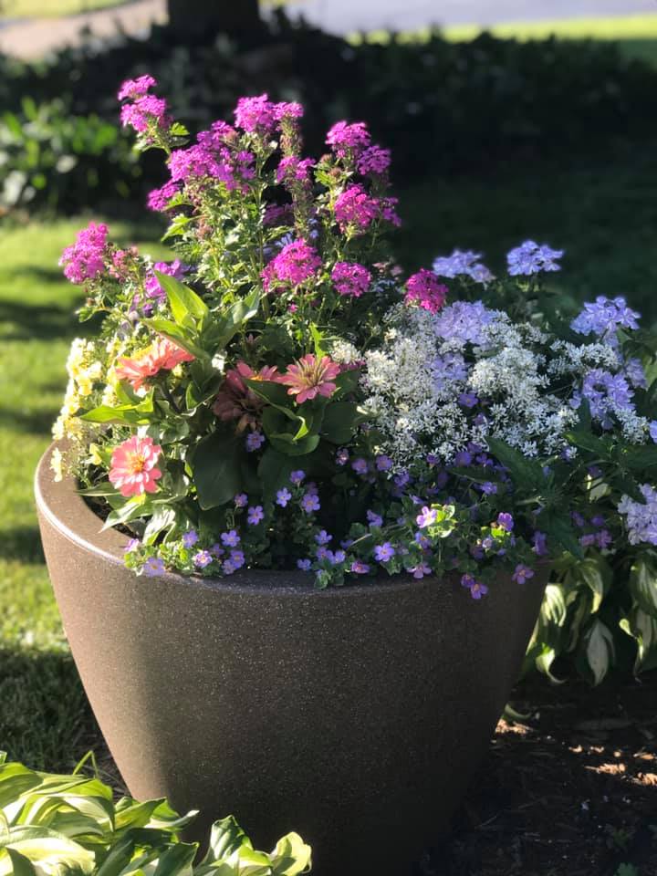 🌸🌼🌺 “Look how luscious mine is doing! Thank you so much I love your planters and I literally just had to add water and these were planted end of May! I wish all my planters looked this beautiful.”

- Deb M. Rochester, NY

#selfwatering #earthplanter #summerflowers #bestplanter