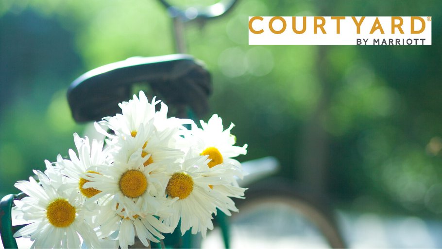 Bring your bicycle when you stay with us. Great routes to ride in and around Gettysburg. Check out a few of them on the Healthy Adams Bicycle website: rb.gy/trd1af
Get out, enjoy Adams County!🚴‍♂️🚴‍♀️❤️