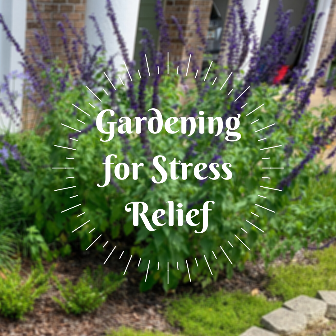 FSU Law Library tweet media