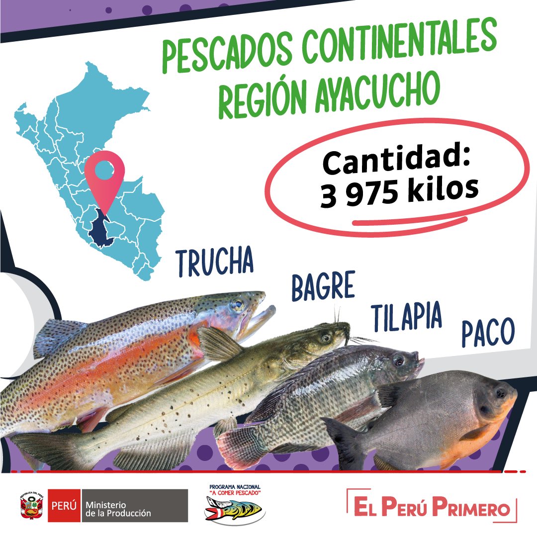 MINPRODUCCION's tweet photo. 🙋🏻♂️🐟 A través de las ferias, "Mi Pescadería", pescadores artesanales y acuicultores ofrecen sus productos en diferentes regiones del país. 🇵🇪
🎉 Hoy felicitamos a nuestras #RegionesPower del mes de junio. 💪🏼👏🏼
#ComeSanoComePescado #PrimeroMiSalud https://t.co/R5NrQjkI4J