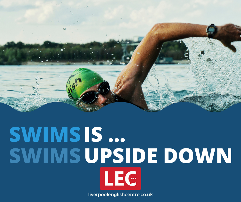 LEC_Liverpool's tweet photo. SWIMS will be ... 👇👇👇
SWIMS even when turned upside down. 🙃🙃🙃

🏊‍♀️🏊‍♂️🏊‍♀️🏊‍♂️🏊‍♀️🏊‍♂️

Hit the LIKE button and learn more interesting facts about the English language. ✔️🇬🇧✔️

#EnglishOnlineAcademy #LearnEnglishOnline #SpeakEnglishFluently #SpeakBritishEnglish #OnlineEnglishCourses https://t.co/THLJ0M4vPN