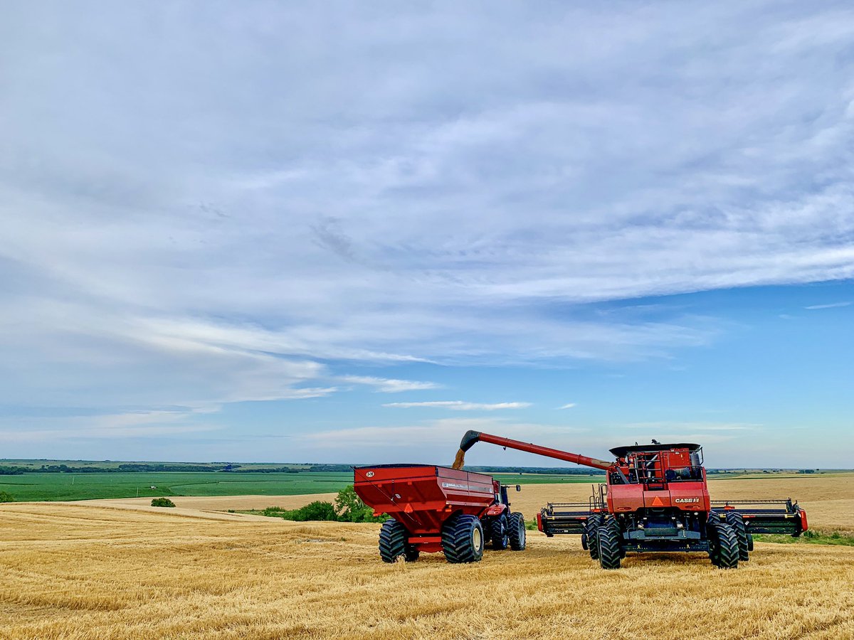 peitzensen's tweet photo. Wheat Harvest 2020 Highlights:
* @tc61960 never fired us! 
*Jacob is now farm kid and a grain cart operator. 
*The combine is still running after I ran it. 
*Gma Karon and Mama Nora pack some mean harvest lunches. 
*The Peitzmeier harvest crew will not  be quitting our day jobs! https://t.co/FngubFateU