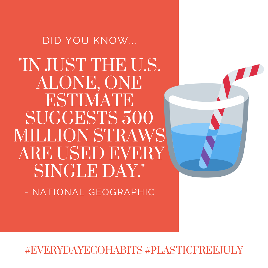 kim_ecohabits's tweet photo. A simple way to #reduceyourplastic is to Go Straw-LESS this July!  It's easy and just requires you to be a lil' proactive! Check out my Straw-LESS post for more info.  It's pretty simple to #skipthestraw and #reduceplastic to create a healthier planet.  https://t.co/U1nccwBYFt https://t.co/rIN2LnMyc2