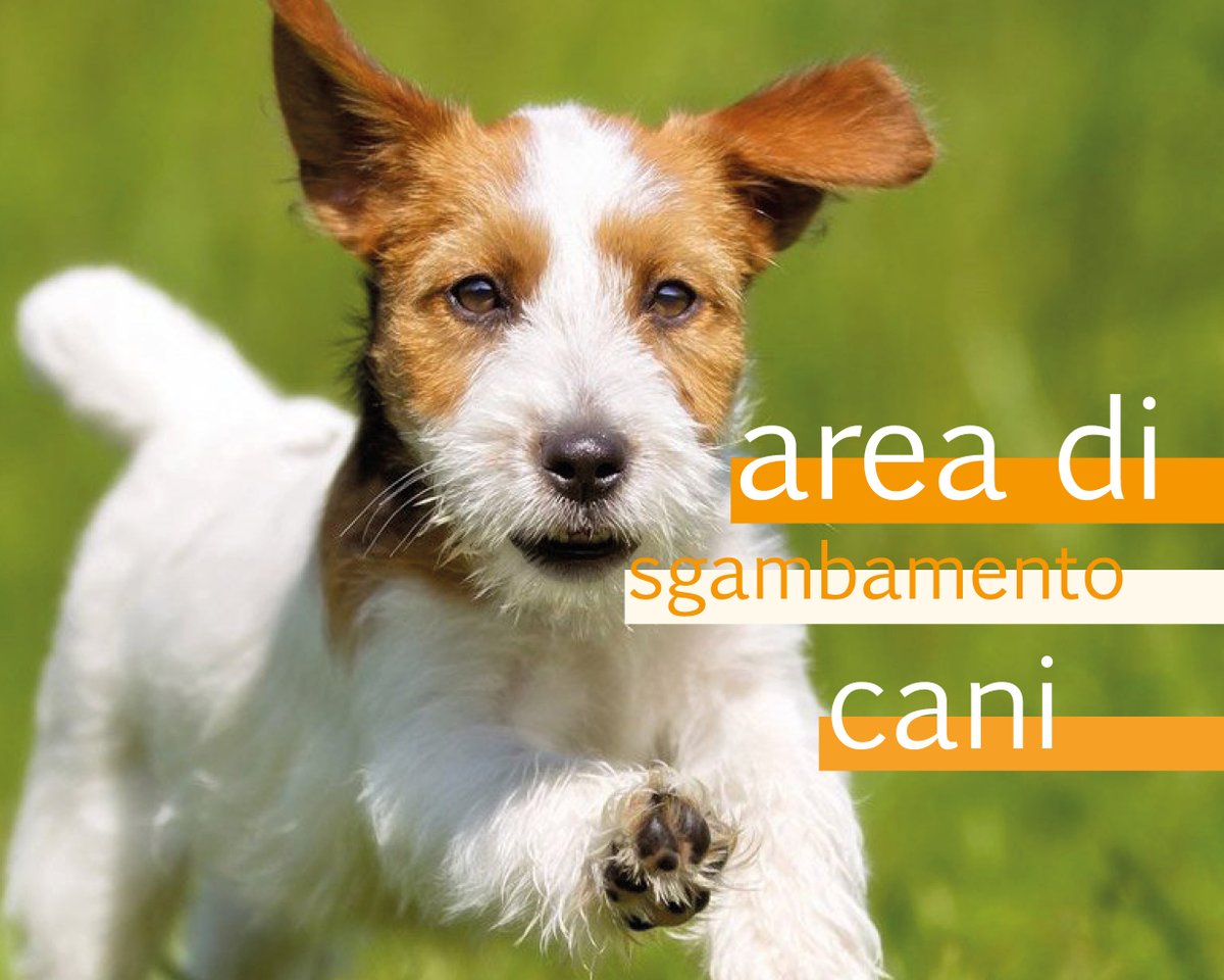 PMTerredacqua's tweet photo. ⚠❗ Attenzione
#Calderaradireno
Chiusa temporaneamente l'area di #sgambamento per cani situata vicino al cimitero per il ritrovamento di polpette sospette.
E' già stata predisposta la bonifica e la messa in sicurezza dell'area.
Sul posto anche Bolognazoofila Onlus.
#noicisiamo https://t.co/K9wzwuEDco