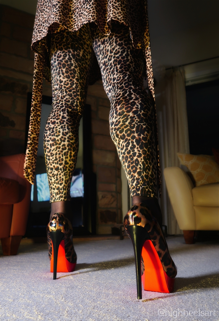 HighHeelsArt's tweet photo. Midnight Predator
#midnightpredator #midnight #redbottoms #leopardprintheels #leopardprint #highheels #highheelpumps #platformpumps #stilettos #stilettopumps #stilettoheels #taconesaltos #talons #predator https://t.co/EnA8MptsBD