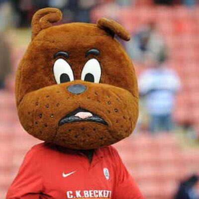 HomeShawlands's tweet photo. @ShawlandsPS Missing Sports day this year? BFC community and Toby Tyke are holding a virtual Sports day from tomorrow starting at 10am. Check out the @bfccommunity twitter page for the details. https://t.co/Er4mpCTmYP