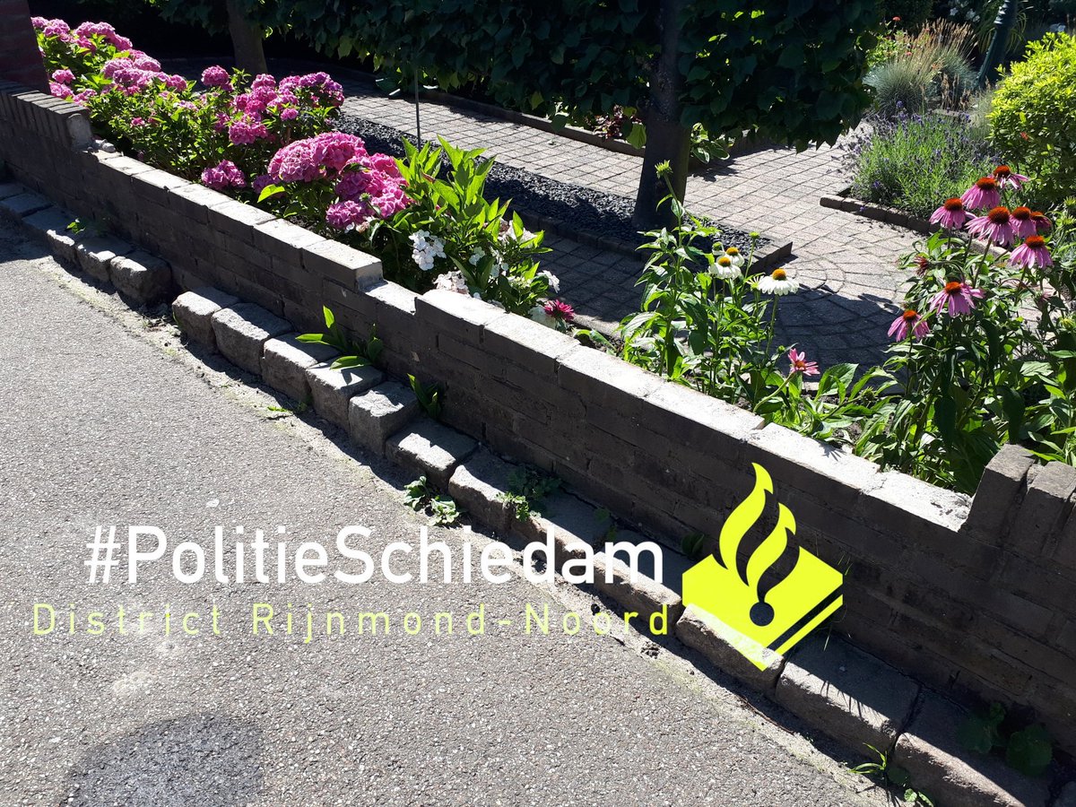 Bestuurder rijdt tegen muurtje in Schiedam Kethel, rijbewijs ingevorderd ..