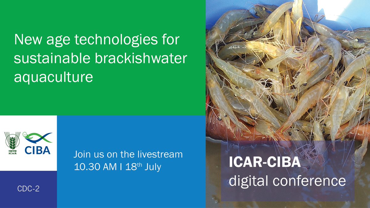 raymond_jani's tweet photo. https://t.co/pXyZ3TvGlb
#ciba #icar #fao #enaca #naca #aquaculture #fish #COVID19 #kufos #cife #cifa #cmfri #cifri #nbfgr #dcfr https://t.co/pO82nLnARN