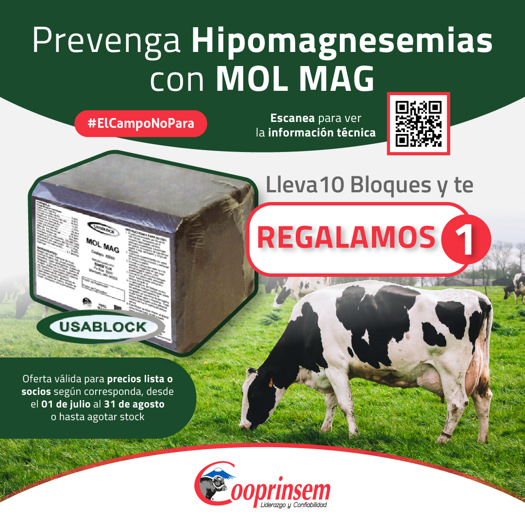 COOPRINSEM's tweet photo. #Aprovecha esta gran #oferta sólo en @Cooprinsem
👉 Compra 10 #bloques #MOL #MAG y te #regalamos 1‼️
✅#Oferta desde el 31 de #julio al 31 de #agosto o hasta agotar stock.

#prevención #hipomagnesemias #usablock #suplemento #bovinos #FelizMartes #NoTeLoPierdas #FelizMartesATodos https://t.co/baoxrQwB1K