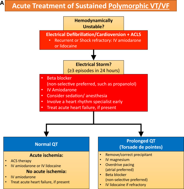 CJCJournals's tweet photo. Congratulations to @MarcDeyell and team on this seminal publication! The 2020 @SCC_CCS @CHRS_SCR Position Statement for Management of VT/VF provides importance guidance in a challenging condition. @EPeeps_Bot  #ablateandeducate https://t.co/779xQQ2gmg @johnlsapp @SCC_CCS_Trainee https://t.co/HzlmGeJ6LI