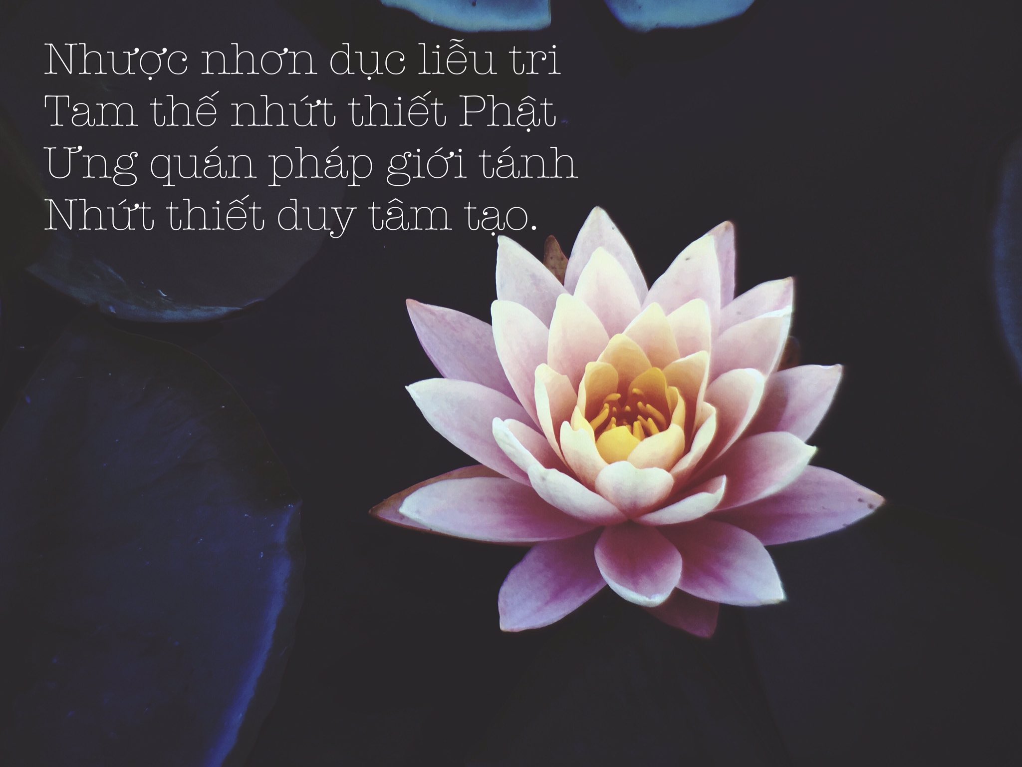Nhược Nhơn Dục Liễu Tri Tam Thế Nhất Thiết Phật: Ý Nghĩa và Tầm Quan Trọng Trong Phật Giáo