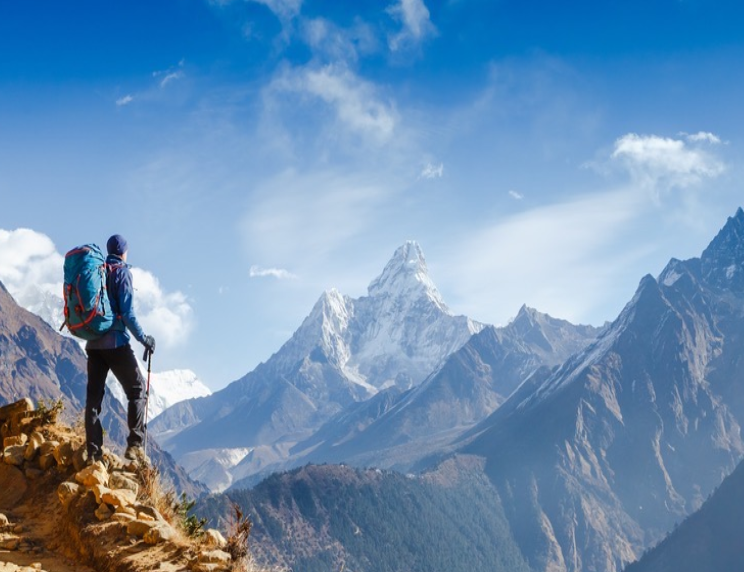 HealthcareExcellence tweet media