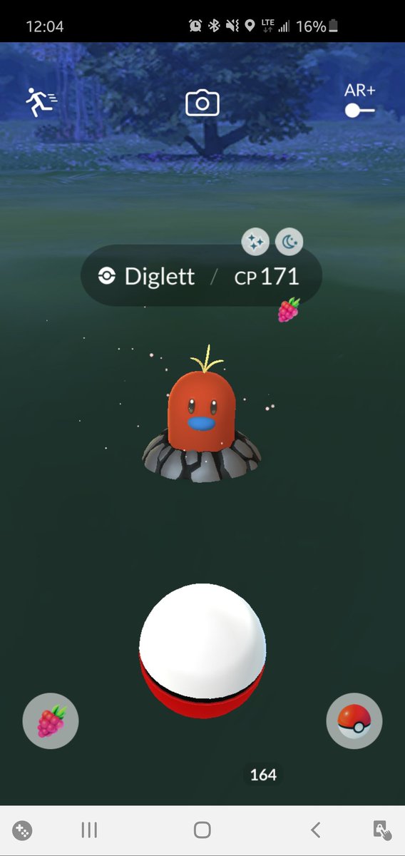 jmsbry's tweet photo. @NianticHelp caught a shiny, then lost it??? https://t.co/WbmovNOJ8T