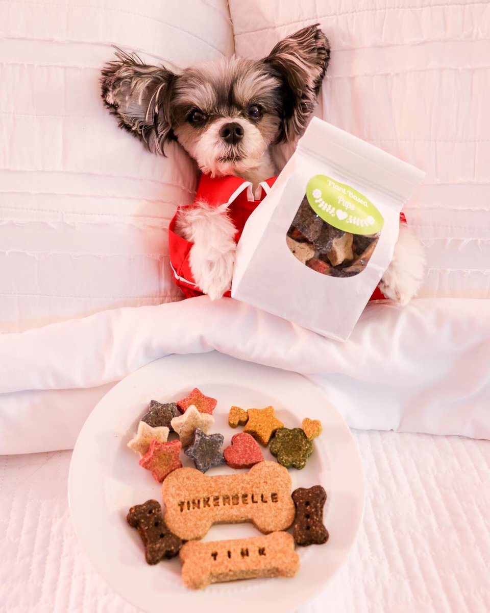 TINKERBELLEadog's tweet photo. Have you ever tried plant based treat??? @plant_based_pups_treats are pawsitively healthy dog treats baked with organic ingredients and love! 🌱❤️🐶#plantbasedpups #sponsored https://t.co/jsKK7BMsEk
