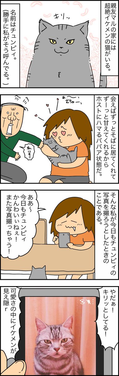 似てるけどさwwwwwな過去漫画。
なお何も表示されなかった模様(シマシマだけに…ね?) 