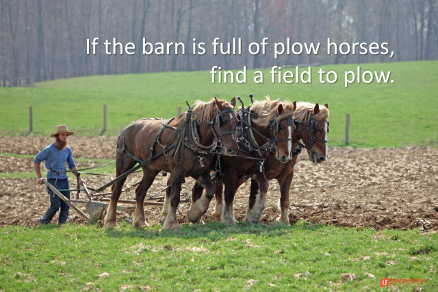 Leadershipfreak's tweet photo. Focus on what, not how.

Don’t be decisive about everything. Decide on what to do. Let competent others decide how to do it.

If you’re decisive, learn to shut-up and step back.

https://t.co/HxEmfanf1a

#leadership
#management
#LFreakpost https://t.co/ad8V7wPcM1