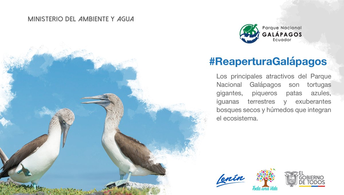 #ReaperturaGalápagos | El Parque Nacional Galápagos abarca un área cercana a los 8 mil kilómetros cuadrados, en la que podemos encontrar especies únicas en el mundo de flora y fauna, especialmente reptiles. #VisitaNuestroEcuador https://t.co/Q6IXyqD4DZ
