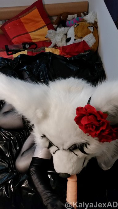 Please let me play with your bone 💋🍆  Please~~~  I'll let you play with mine ❤️❤️❤️  #nsfw  #murrsuit<a href="/tag/furry"class="tags"><span>#furry</span></a><a href="/tag/nsfw"class="tags"><span>#nsfw</span></a><a href="/tag/fursuit"class="tags"><span>#fursuit</span></a><a href="/tag/furryfandom"class="tags"><span>#furryfandom</span></a><a href="/tag/softsuit%20"class="tags"><span>#softsuit </span></a>