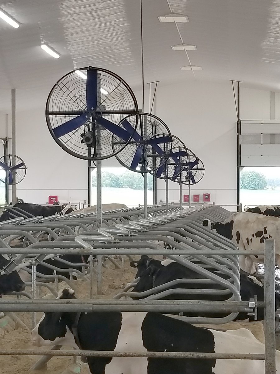 CanarmAgSystems's tweet photo. Our innovative, low cost 54" panel fans will keep your cows cool and comfortable during these hot summer days.
Learn more here - https://t.co/FwOfqySx1a

#CirculatingFans #Ventilation #CowCooling #summer #fans #PanelFan #CanarmAgSystems #Faromor #dairy https://t.co/3u62ZJytIN