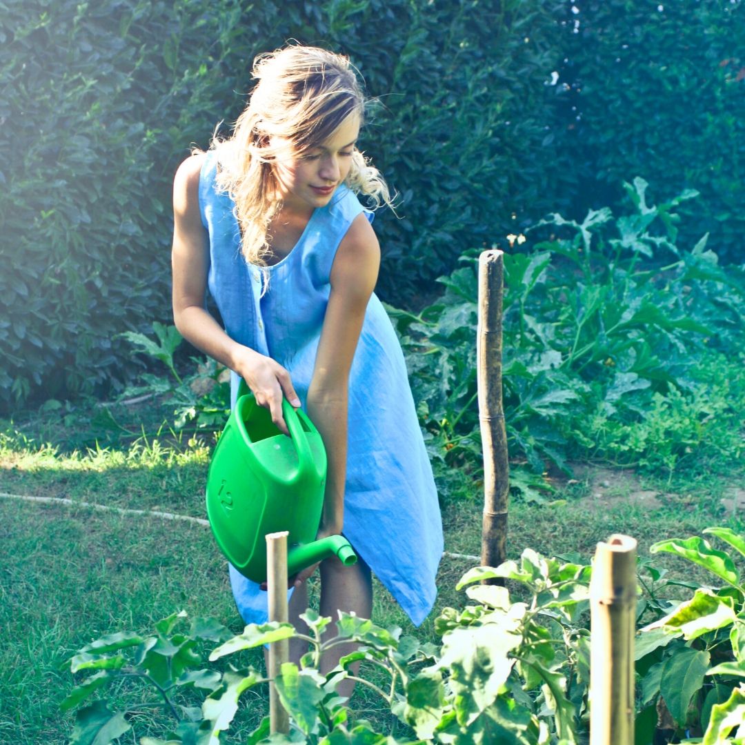 lindahumphreys_'s tweet photo. What are you watering within? What you turn your attention and love towards will grow.
.
.
.
#love #letlovegrow #plants #gettinggod #thegettinggodproject #loveeachother #god #findinggod #transformation #changefromwithin #selfgrowth #growth #personalgrowth https://t.co/sQNcji3asX