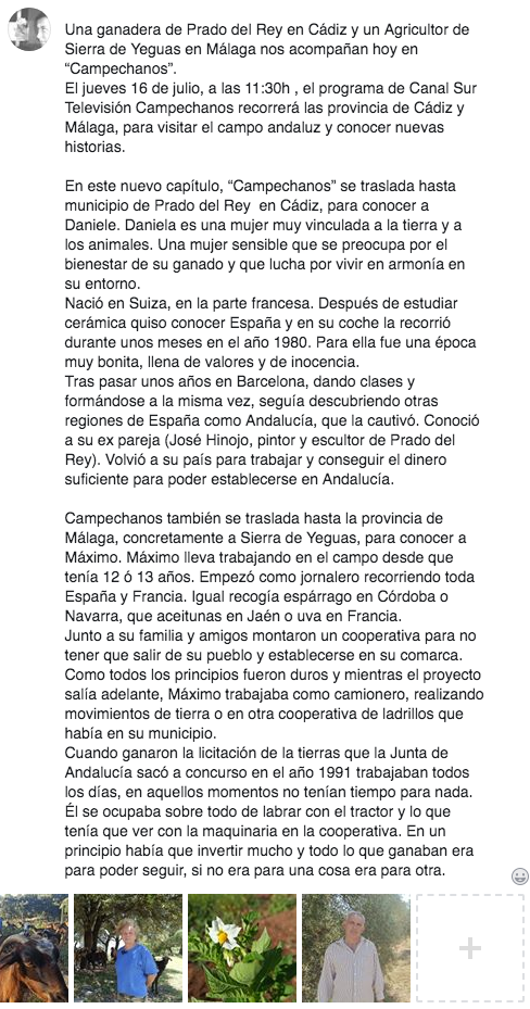 campechanostv's tweet photo. #CampechanosTV #CanalSurTV 16-07-2020 11:30 h. https://t.co/8WVPtPozQc