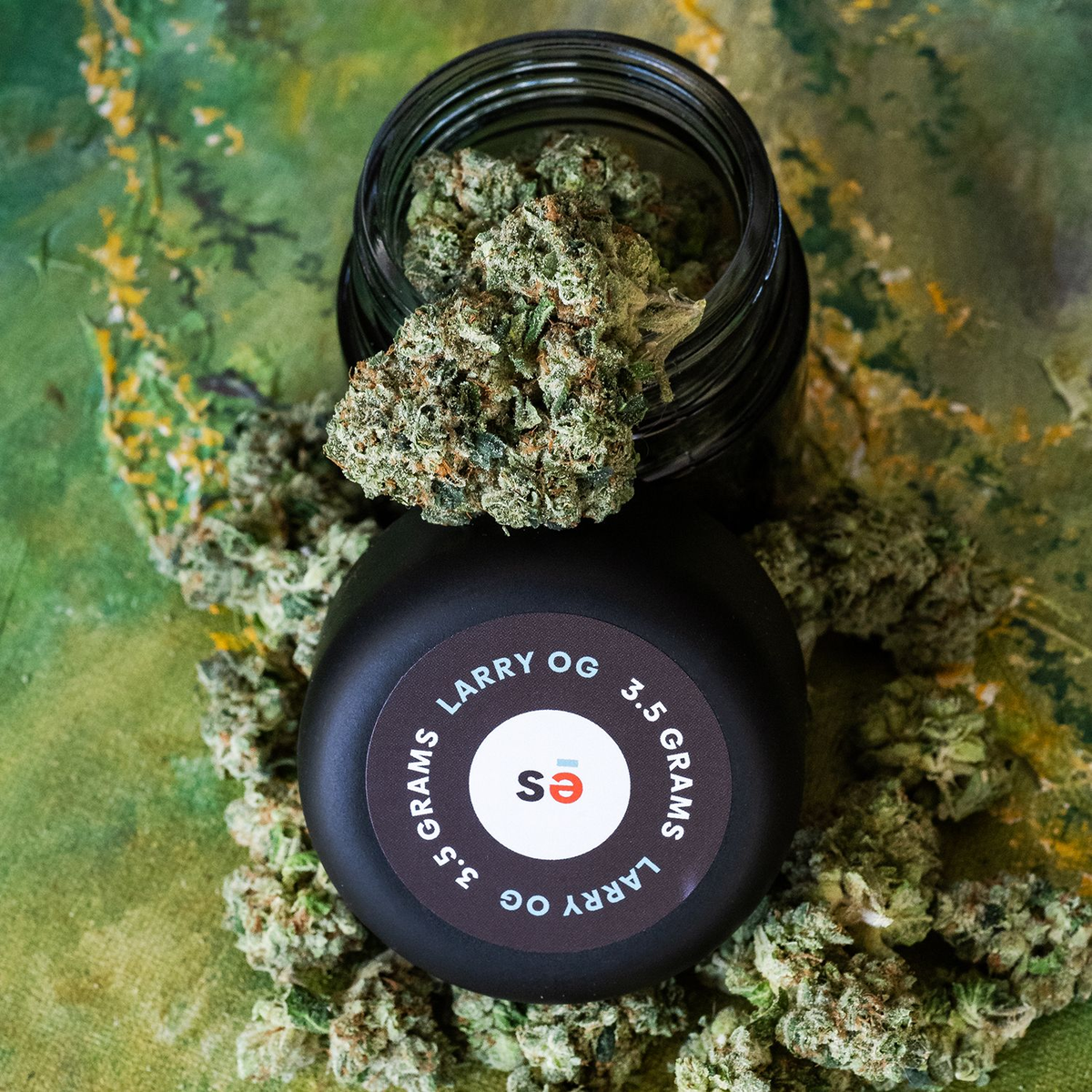 Can you differentiate the Larry OG flower from the background? 
We’re dazed 👀