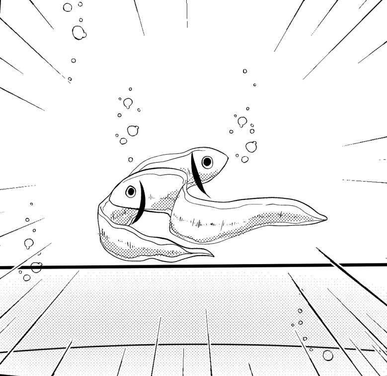 かわいい稚魚イド 