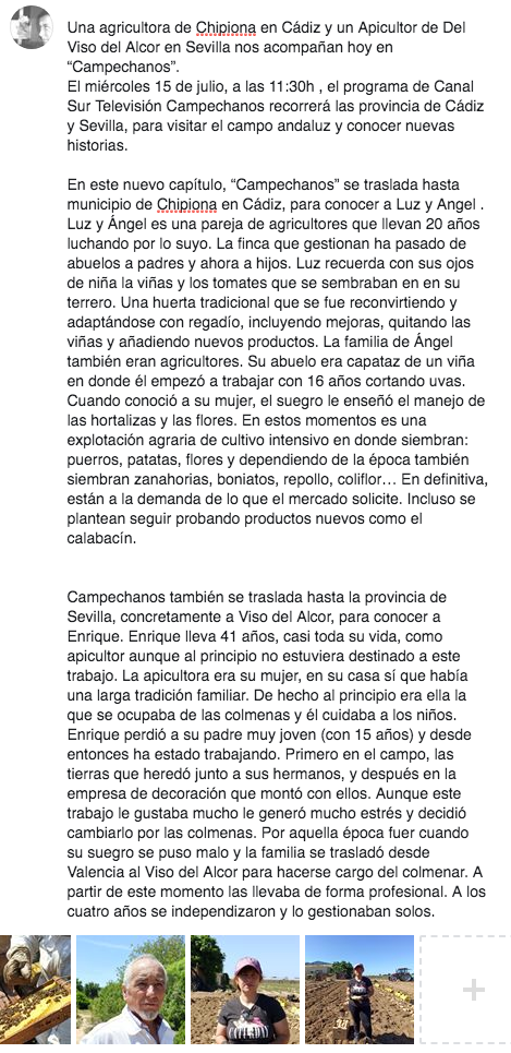 campechanostv's tweet photo. #CampechanosTV #CanalSurTV 15-07-2020 11:30 h. https://t.co/3Gf0vKx8ta