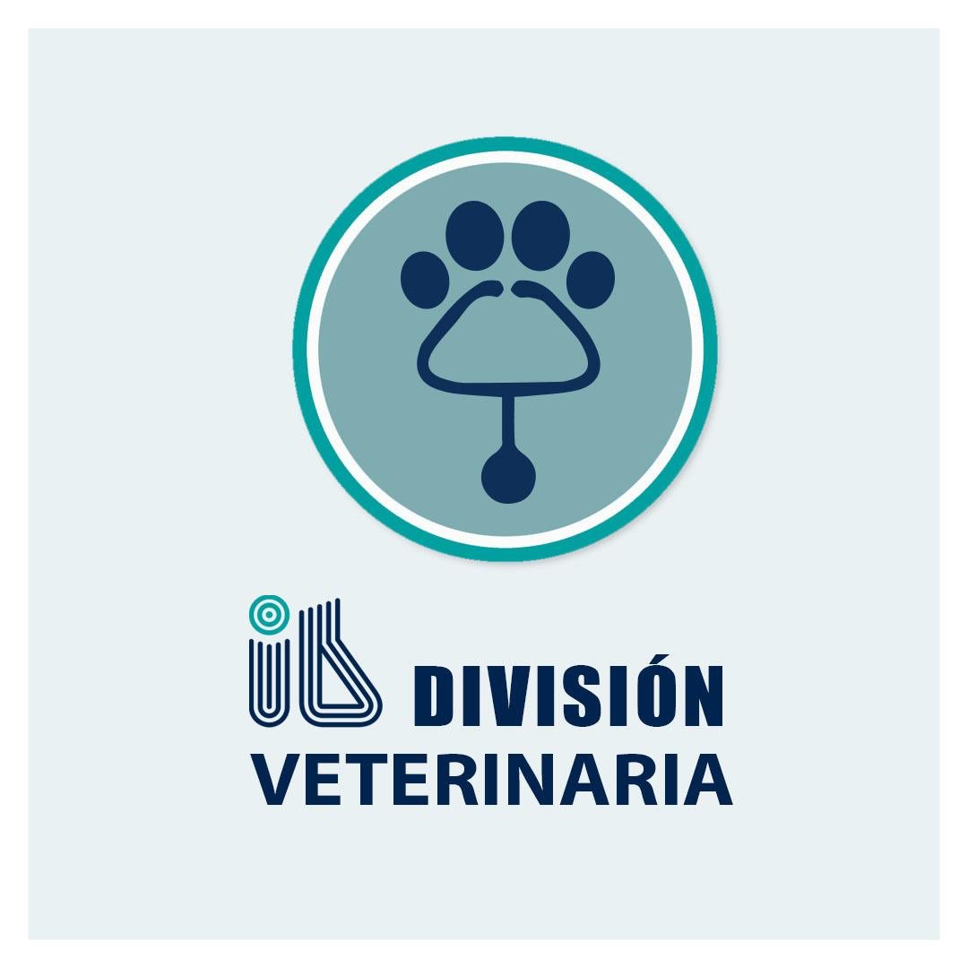 inbicu's tweet photo. Servicios del Área Veterinaria.
Los Médicos Veterinarios actúan como derivantes facilitando la remisión de muestras, asi como tambien la recepción de los informes. Esto permite realizar un seguimiento de los estudios, confirmando la recepción de la muestra y su procesamiento. https://t.co/h22vqmK4Ln