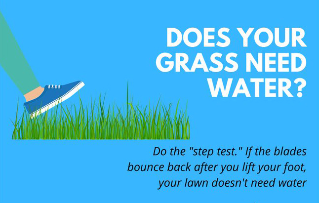 NepRWA's tweet photo. BEFORE YOU WATER YOUR LAWN -- DO THE STEP TEST!

A typical lawn needs 1" of water PER WEEK from rain or irrigation to stay green.

Overwatering creates unhealthy lawns &amp; WASTES WATER that could be used for drinking, putting out fires, recreation, &amp; wildlife. #SmartIrrigationMonth https://t.co/s4JgOZFys6